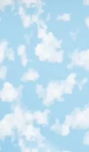 momoの画像
