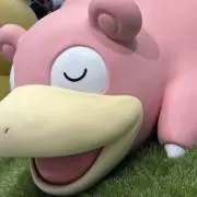 【即購入可】アカギの画像