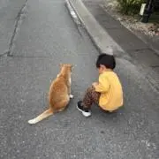 みーの画像
