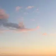 ハルヤ【匿名配送・即購入◎】の画像