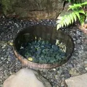プラチナ ஐ鈴蘭の草原ஐの画像