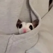nの画像