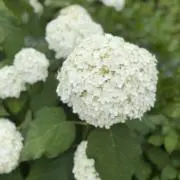 プロフ読んでくださいの画像