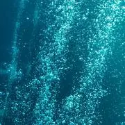 leoの画像