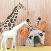 あーすけ