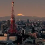 ポコの画像
