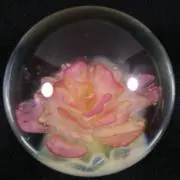 Riikoの画像