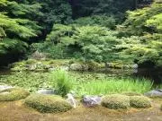 きのぴおの画像