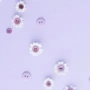 ぱーぷるの画像
