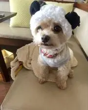 ケーシー