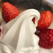 チップの画像