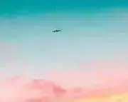 ぽん吉の画像