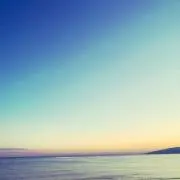 華の画像