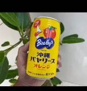 yamanguの画像