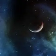 にしん