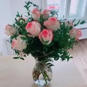 SAKURAの画像