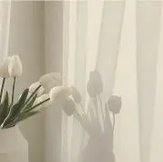 pe