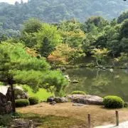 よーこ(即購入OK)の画像