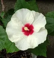 ☆Tabasa☆の画像