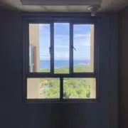 りんごの画像