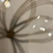 chiichaの画像