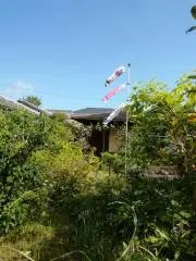 リリーの画像