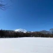 ysの画像