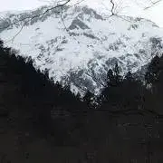 Krevalプロフィール必読の画像