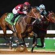 フォーエバーヤング 坂井瑠星 矢作芳人 騎手サイン色紙 競馬 JRA