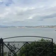 ちゅんの画像