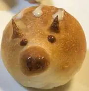 キュウタの画像