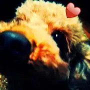 To_lu♡プロフ必読♡の画像