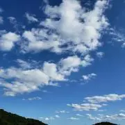 Namuパンサーの画像