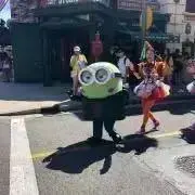 ハルの画像