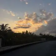 みるくの画像
