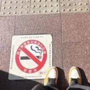 初心者の画像
