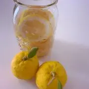 じゃがの画像