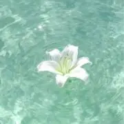 U-の画像