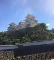 わかめの画像