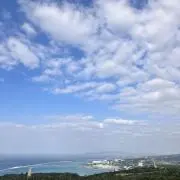 断捨離パンダの画像