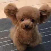 けいちゃーん