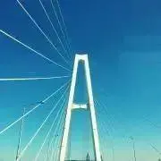 LVの画像