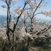 IRORIの画像