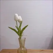 るーの画像