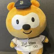 ぽんちゃんの画像