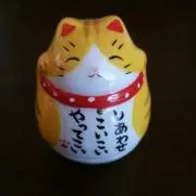 ようこの画像