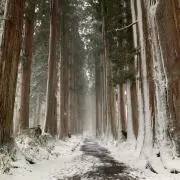 さやし。