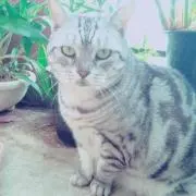 岩ちゃん