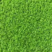 るか【即購入OK】の画像