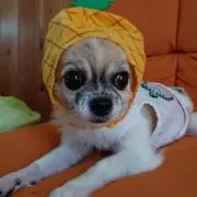 ENEgorinの画像